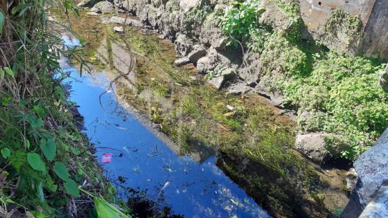 À Curepipe : déversement d’eaux usées dans une rivière