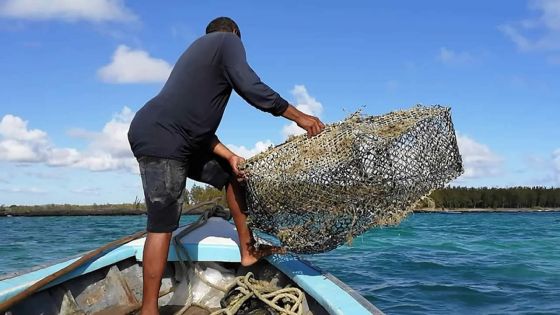 Impact de la Covid-19 et du MV Wakashio : certaines familles ont accusé une baisse jusqu'à 70 % sur les salaires