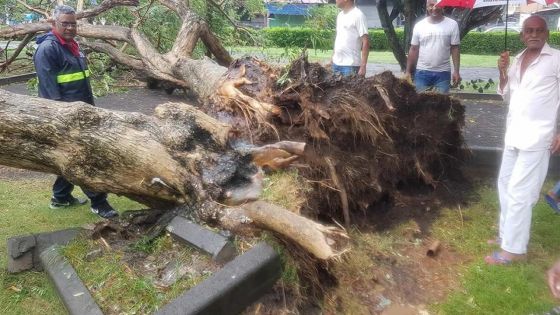La forte tempête Calvinia toujours un danger pour Maurice : le prévisionniste Beegoo répond à nos questions