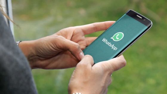Applications de messagerie : Pourquoi WhatsApp perd en popularité au profit de Signal et Telegram 