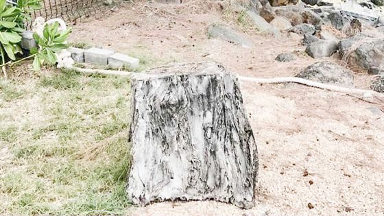 Pas géométriques : l’accès aux plages fait débat 