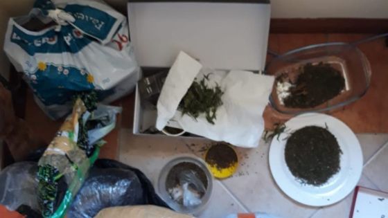 Saisie de Rs 15 M de cannabis dans deux villas à Rivière-Noire : un militaire irakien parmi les trois suspects