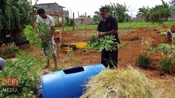 Location de terrains agricoles de l’État : les bénéficiaires tenus de suivre une formation sur des techniques de culture «smart»