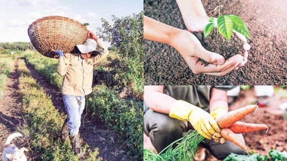 ‘Au Cœur de l’Info’ :  Agro-alimentaire – comment réagir face aux menaces et défis ?