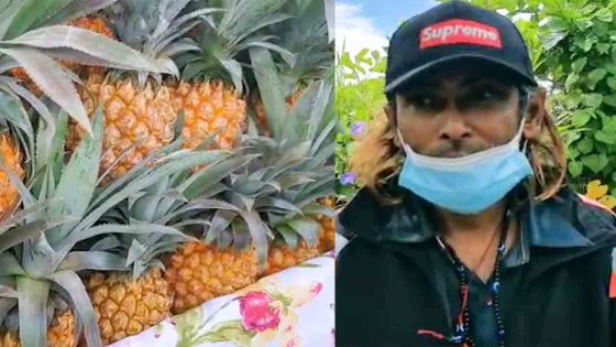 À Salazie : Hancharaj Mohun vend des ananas aux abords de la route  