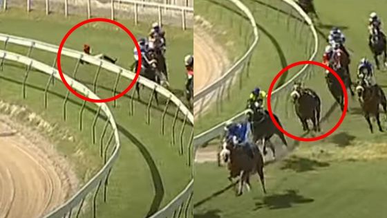 « Au Cœur de l'Info » : la sécurité des jockeys au centre des débats ce mardi