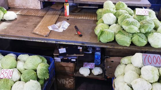De la vente à l’encan aux étals du marché : les légumes revendus jusqu’à trois fois plus cher