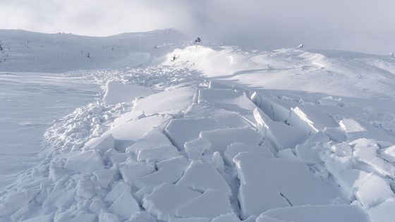 Afghanistan: au moins 19 morts dans une avalanche à la frontière pakistanaise