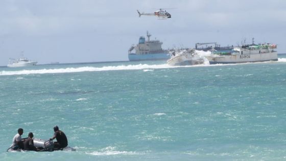 Bateaux échoués : les autorités pourront-elles éviter une catastrophe écologique ?   