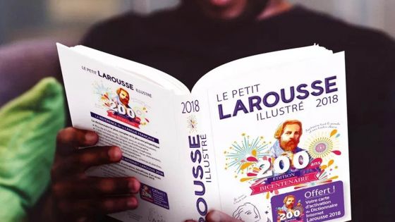 Petit Larousse illustré 2020 : les nouveaux mots entrants dans la prochaine édition