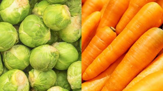 Choux et carottes : les prix revus par l’Agricultural Marketing Board