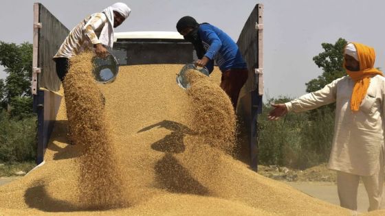 L'Inde interdit les exportations de blé, le G7 s'alarme d'une aggravation de la crise