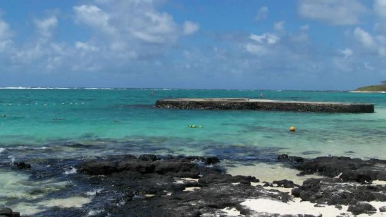 Blue-Bay : alerte aux méduses