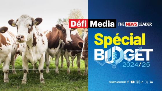 Budget 2024-25 - Importation d’animaux : Une subvention de Rs 225 000 pour l’importation de vaches, porcs et boucs