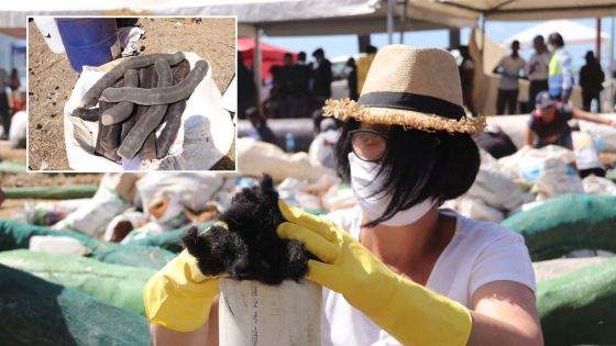 Utilisation des cheveux pour contenir le fioul du Wakashio : L’ONG Hair Boom Mauritius attend une décision du PMO