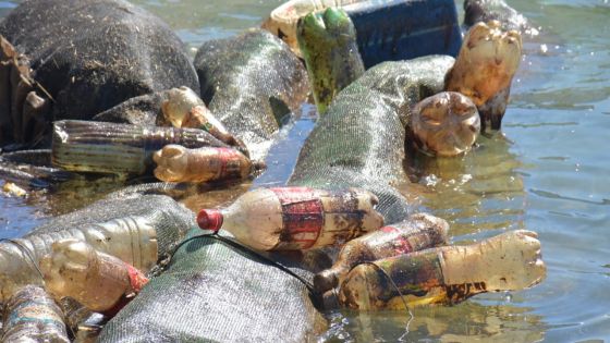 Wakashio : 732 tonnes métriques d’huile lourde pompées des lagons ce vendredi