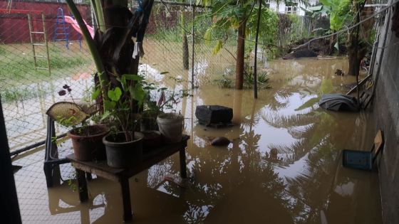  Météo : l'avis de fortes pluies levé 