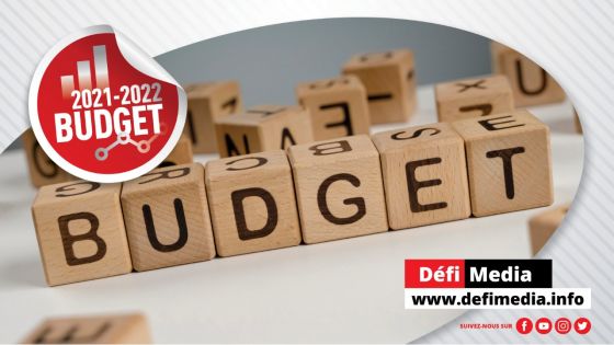 Budget 2021-22 : les principales annonces en fil rouge