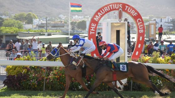 Hippisme : vous pourrez suivre à 10 heures la conférence de presse du MTC en direct sur notre page Facebook