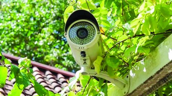 À Baie-du-Tombeau : Veena se sent épiée par des caméras installées trop près de sa maison