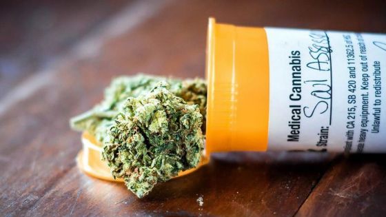 Comité technique sur le cannabis médical : Maurice avance avec prudence