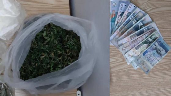 Un membre de la SMF arrêté avec Rs 1,3 million de cannabis