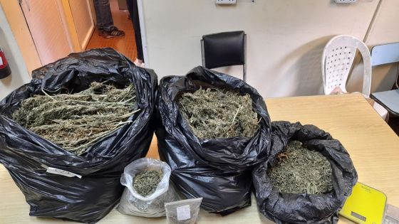 Union-Park : Saisie de 7,8 kilos de cannabis