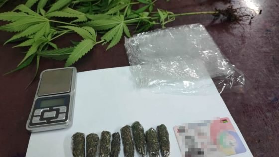 Saisie de cannabis à Belle-Vue Maurel : un jeune de 18 ans arrêté