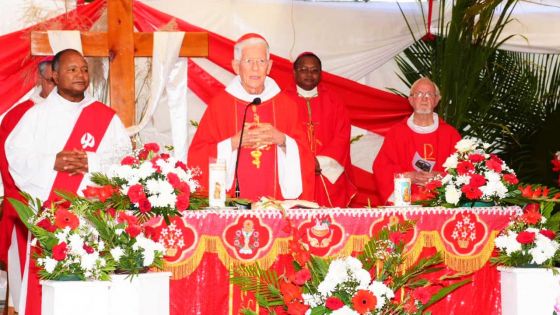 Cardinal Piat : « Nous avons le devoir de lutter pour la justice pour tous » 