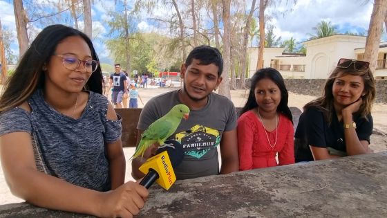 «Bébé», l’oiseau apprivoisé de Midesh profite de la plage