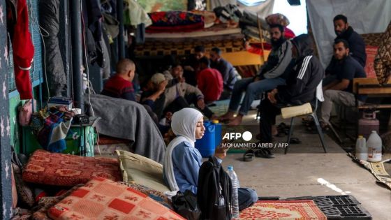 Israël donne son feu vert à un accord de trêve à Gaza