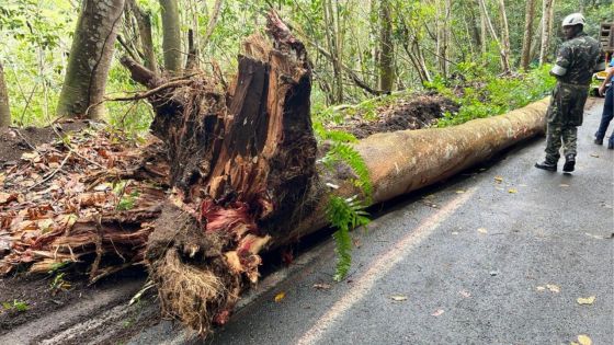 Fortes pluies : la route Choisy à Chamarel déblayée