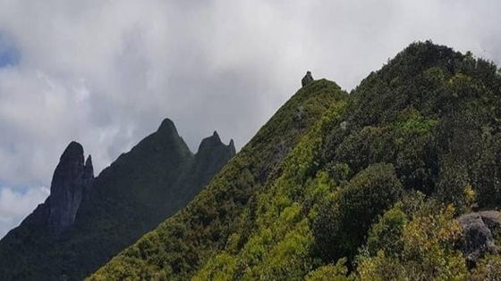 Montagne Le Chat et La Souris : un des trois randonneurs toujours porté manquant après une chute