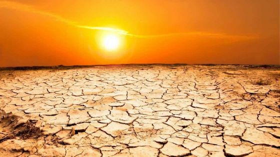 Température record relevée en Australie : 50,7°C