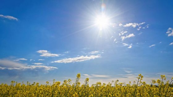 Météo : les prévisions pour ce mardi