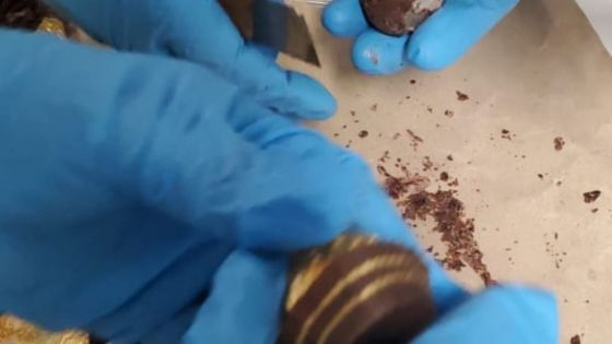640 grammes de cannabis dissimulés dans du chocolat