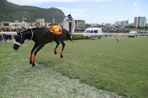 Hippisme : le jockey Robert Khathi se remet de sa chute dans la Duchesse