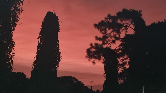 Quel est cet étrange nuage rouge observé dans le ciel à Maurice ?