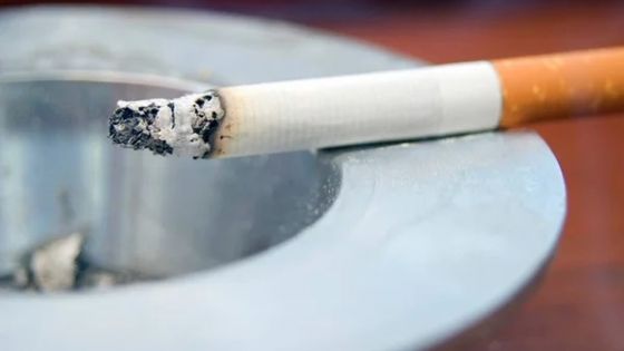 Jour J-1 - Cigarettes : légère augmentation des ventes, mais aucune rupture de stock