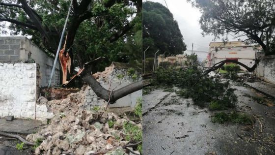 Batsirai : Maurice en alerte 4, des rafales de 120km/h enregistrées 