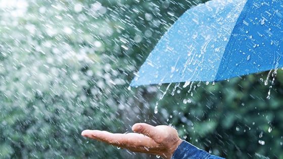 Climat : moins de pluie enregistrée en 2020 