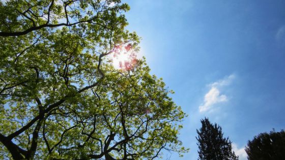Prévisions météo du 22 novembre