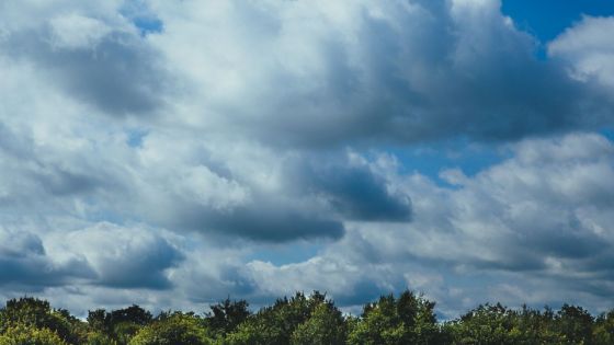 Météo : des averses attendues dans l'après-midi