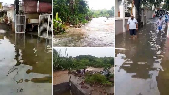 Pluies torrentielles : les vidéos des internautes ce mercredi 