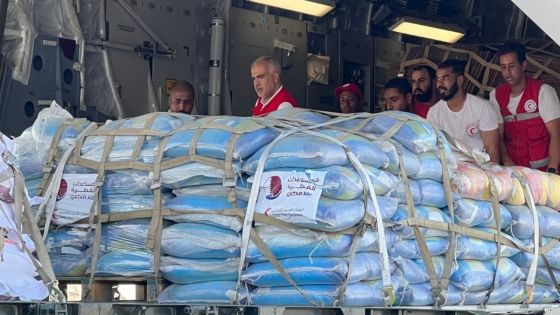 Un convoi humanitaire entre de nouveau dans Gaza