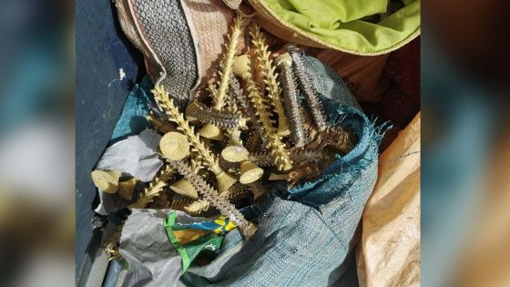 [Images] Goodlands : des métaux volés et estimés à Rs 2 millions saisis