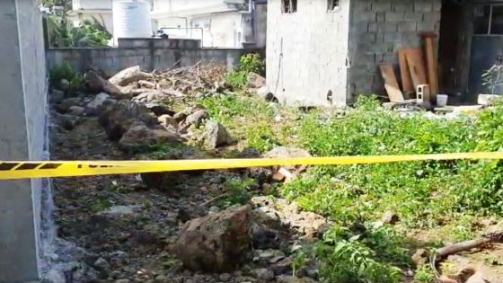 Petit-Raffray : un corps calciné sans l'un de ses poignets et une arme découverts à Camp-Domingue