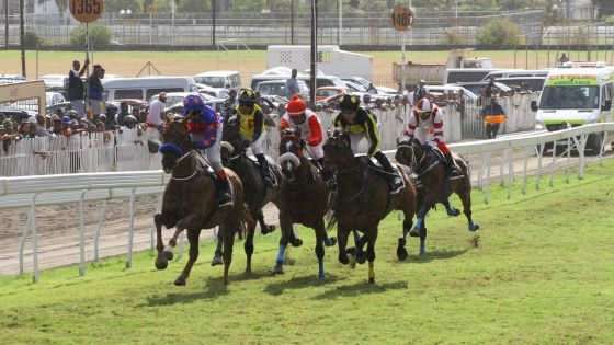 Hippisme – Fin de la saison 2024 le 6 octobre : conséquences désastreuses pour les stakeholders