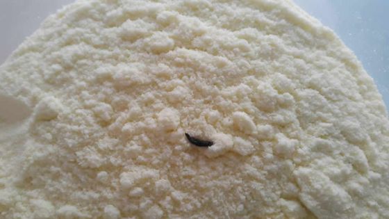 À Plaine-Magnien : elle découvre une crotte de rat dans un sachet de lait