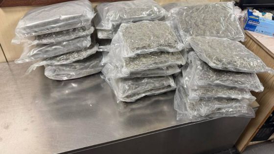 Aéroport Plaisance : deux Britanniques arrêtés avec Rs 57 millions de cannabis